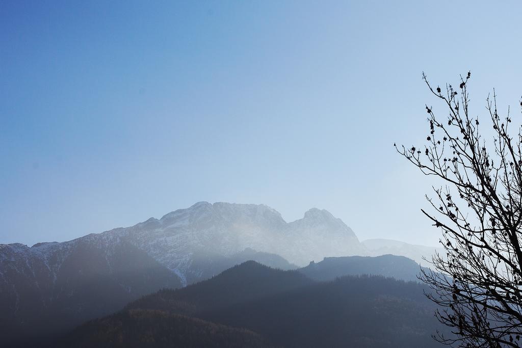 Siklawa Daire Zakopane Oda fotoğraf