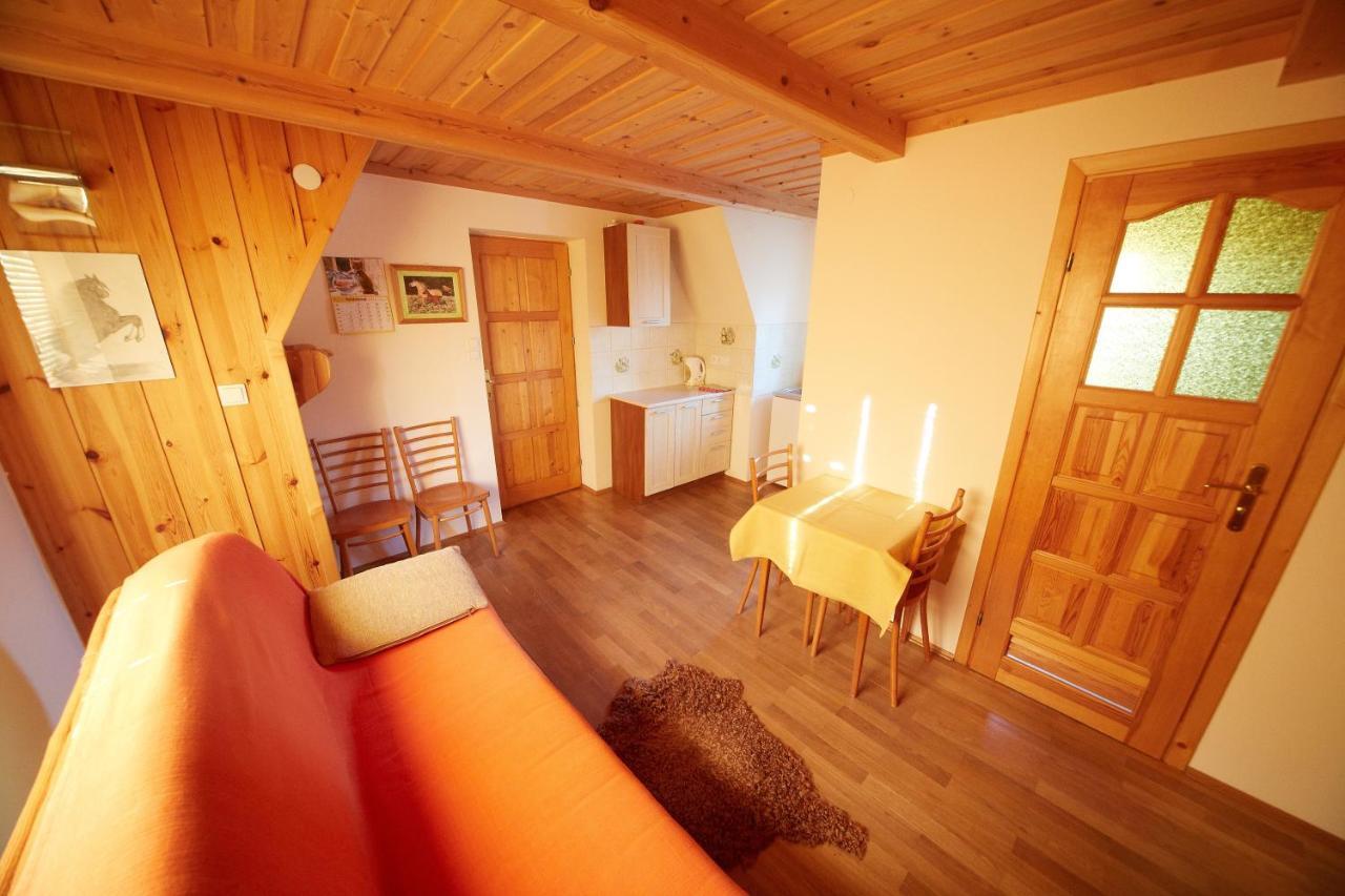 Siklawa Daire Zakopane Oda fotoğraf